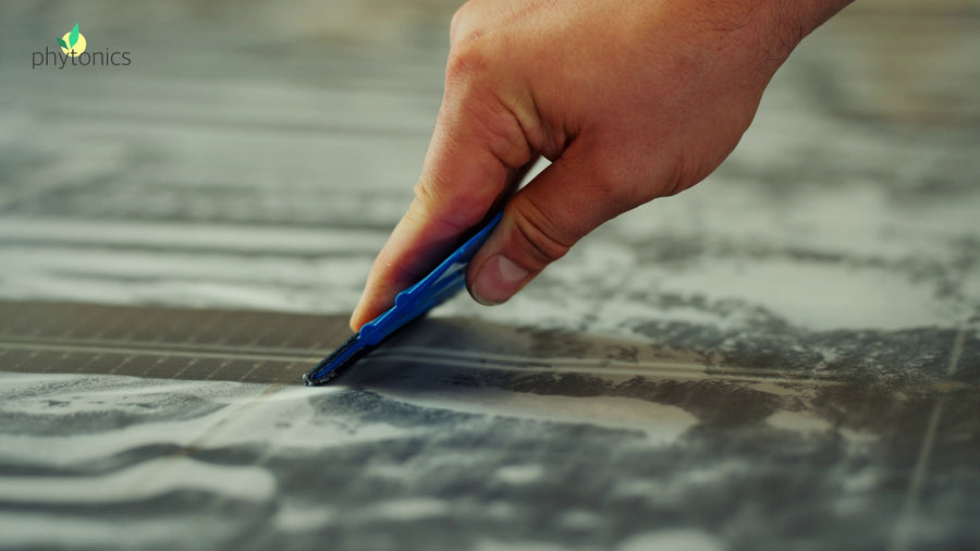 Squeegee the entire surface