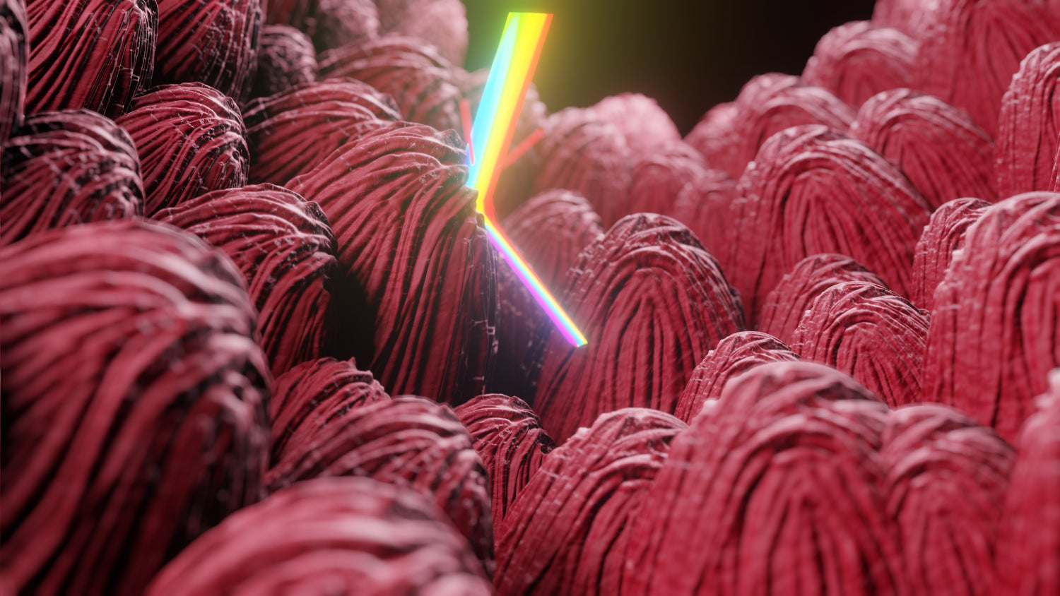 Rendering of microstructure of rose petal surface for light incoupling into solar modules